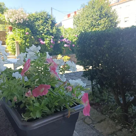 公寓 Acogedor Con Jardin *