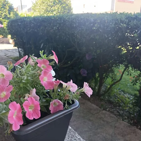 公寓 Acogedor Con Jardin 格罗韦