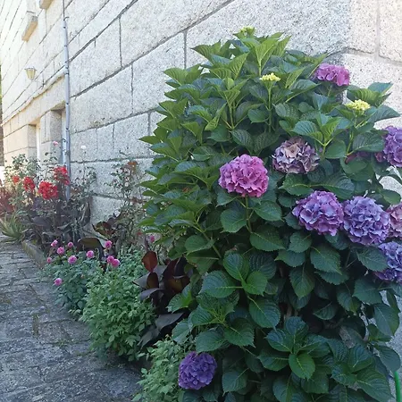 Acogedor Con Jardin 格罗韦