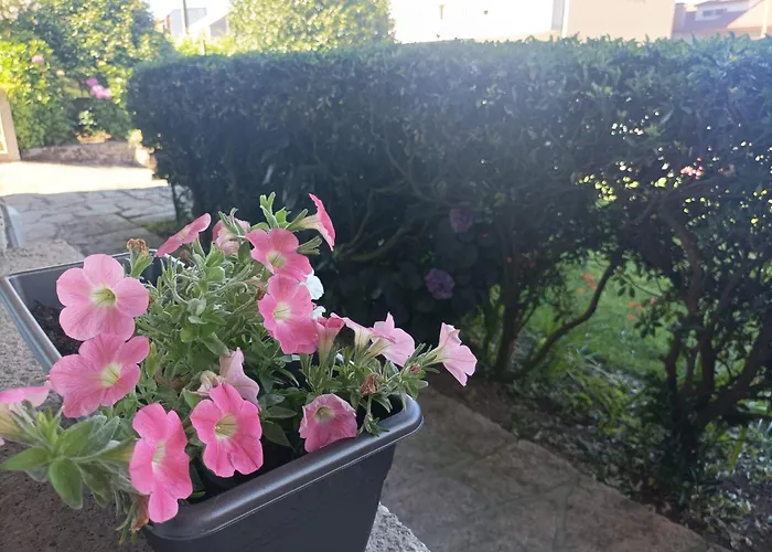 Διαμέρισμα Acogedor Con Jardin O Grove