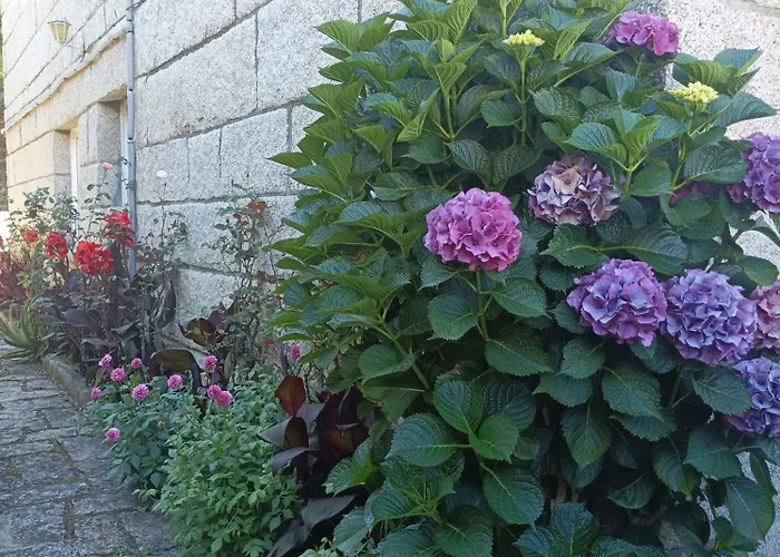 Acogedor Con Jardin O Grove